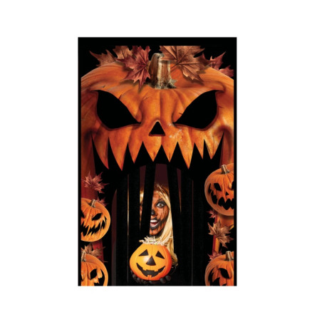 Decoración Puerta con Cortina Calabazas 145x240cm