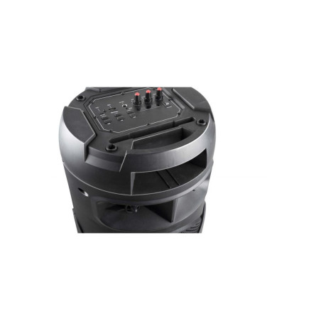 Altavoz Portátil BT Karaoke Dunlop 2x20W